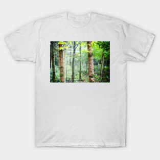 Beech tree wood T-Shirt